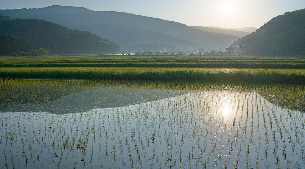 四季折々、静かに神秘的な景色をみせる谷