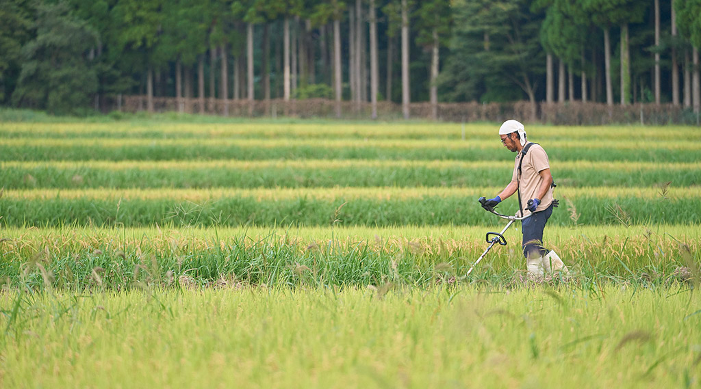 現代の農における可能な限りのよりよい自然循環を探る