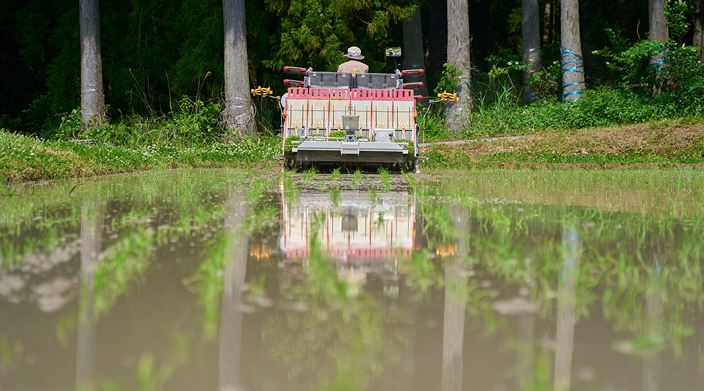 田で育つお米を皆様と結ぶ