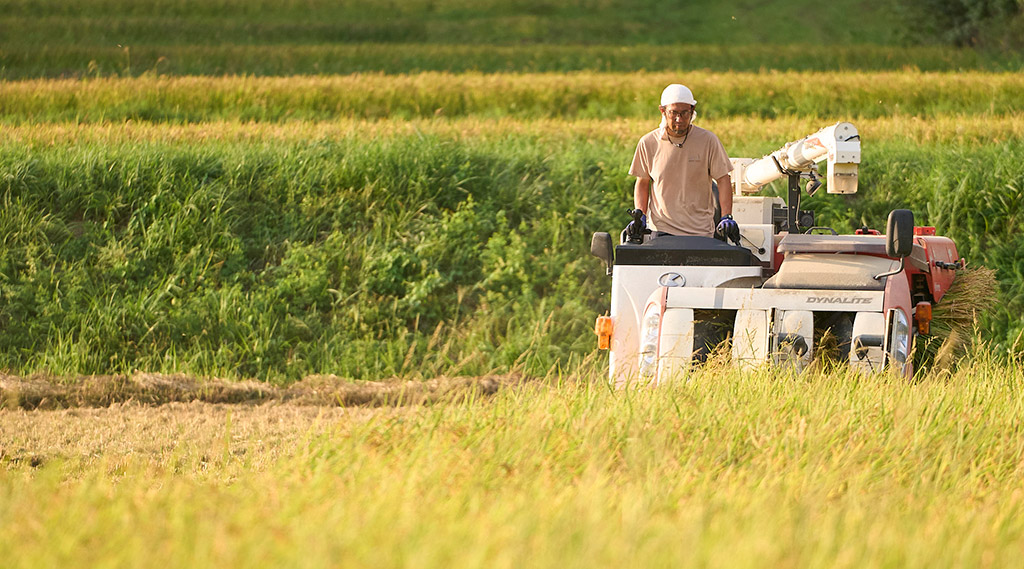 田と向き合っています