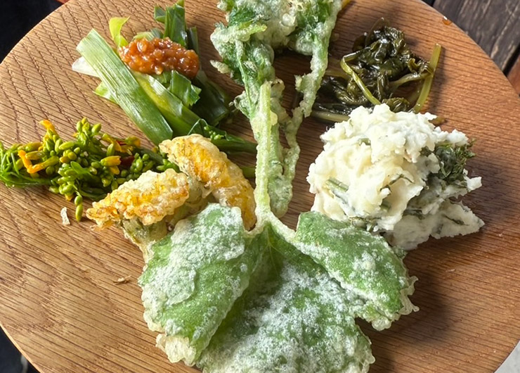 春・山野草を食べる会