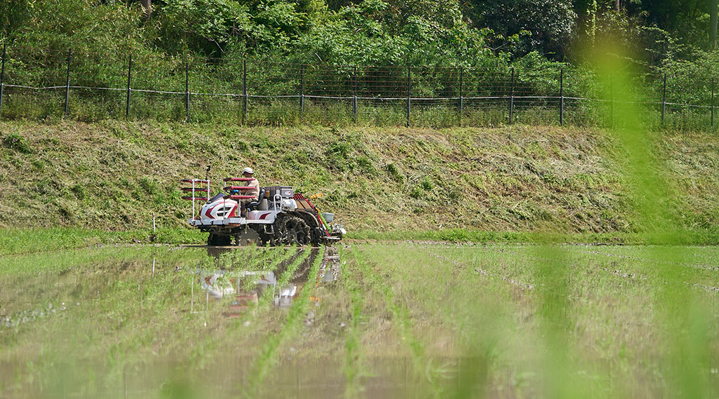 土地で田をつくりお米をお届けします