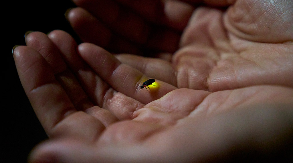 悠久の自然が息づく土地